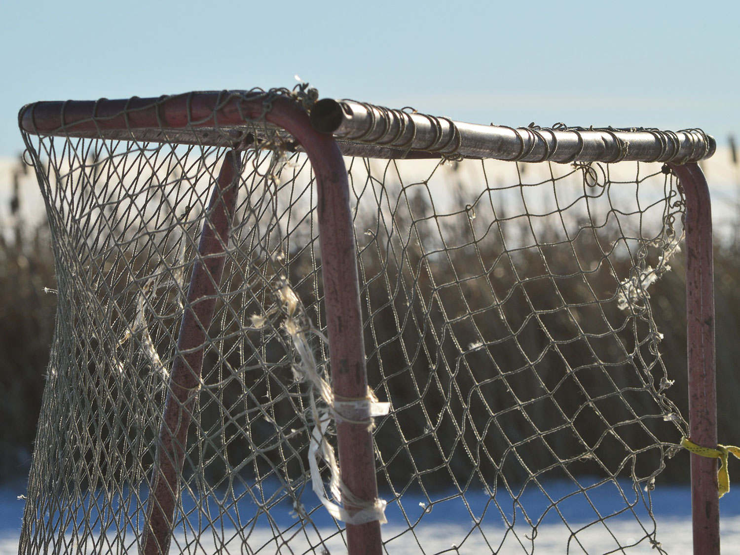 hockey