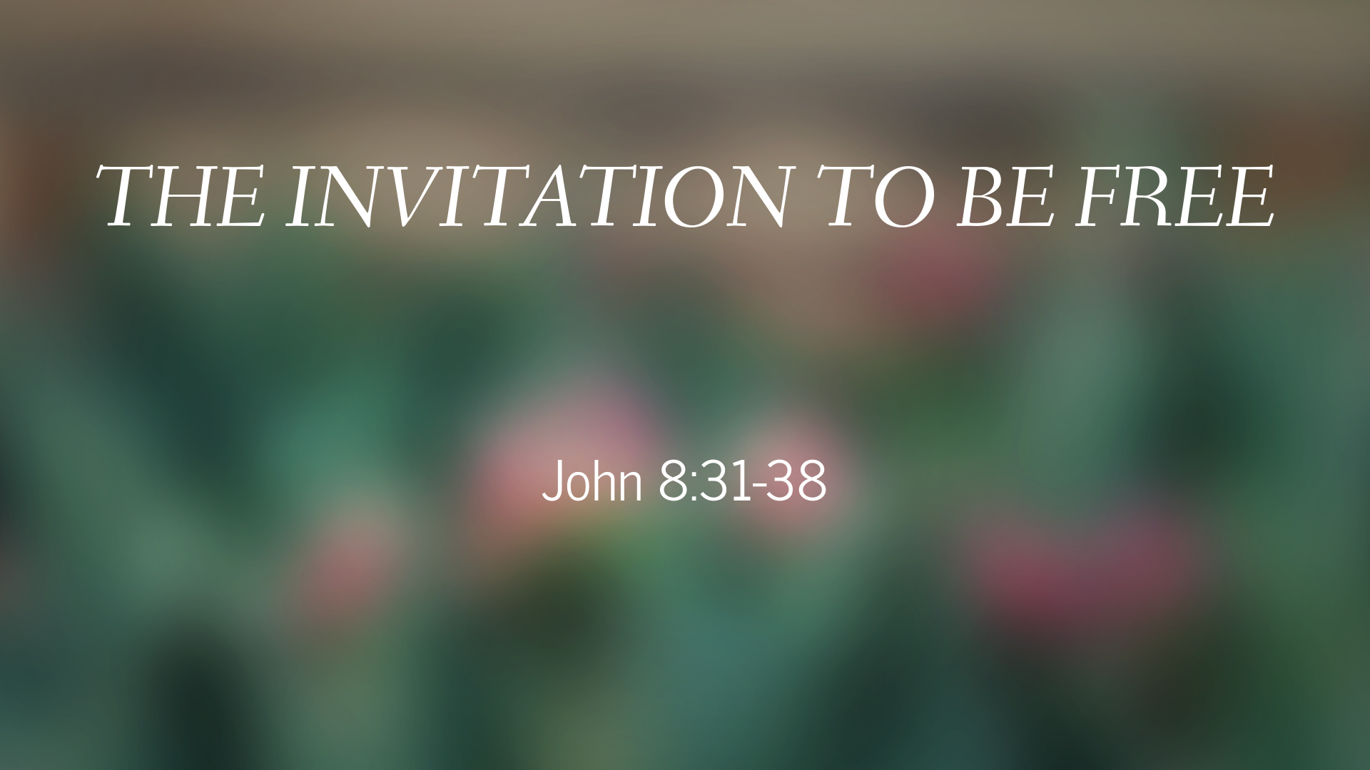 May 03, 2020 - The Invitation to Be Free (Video) John 8:31-38