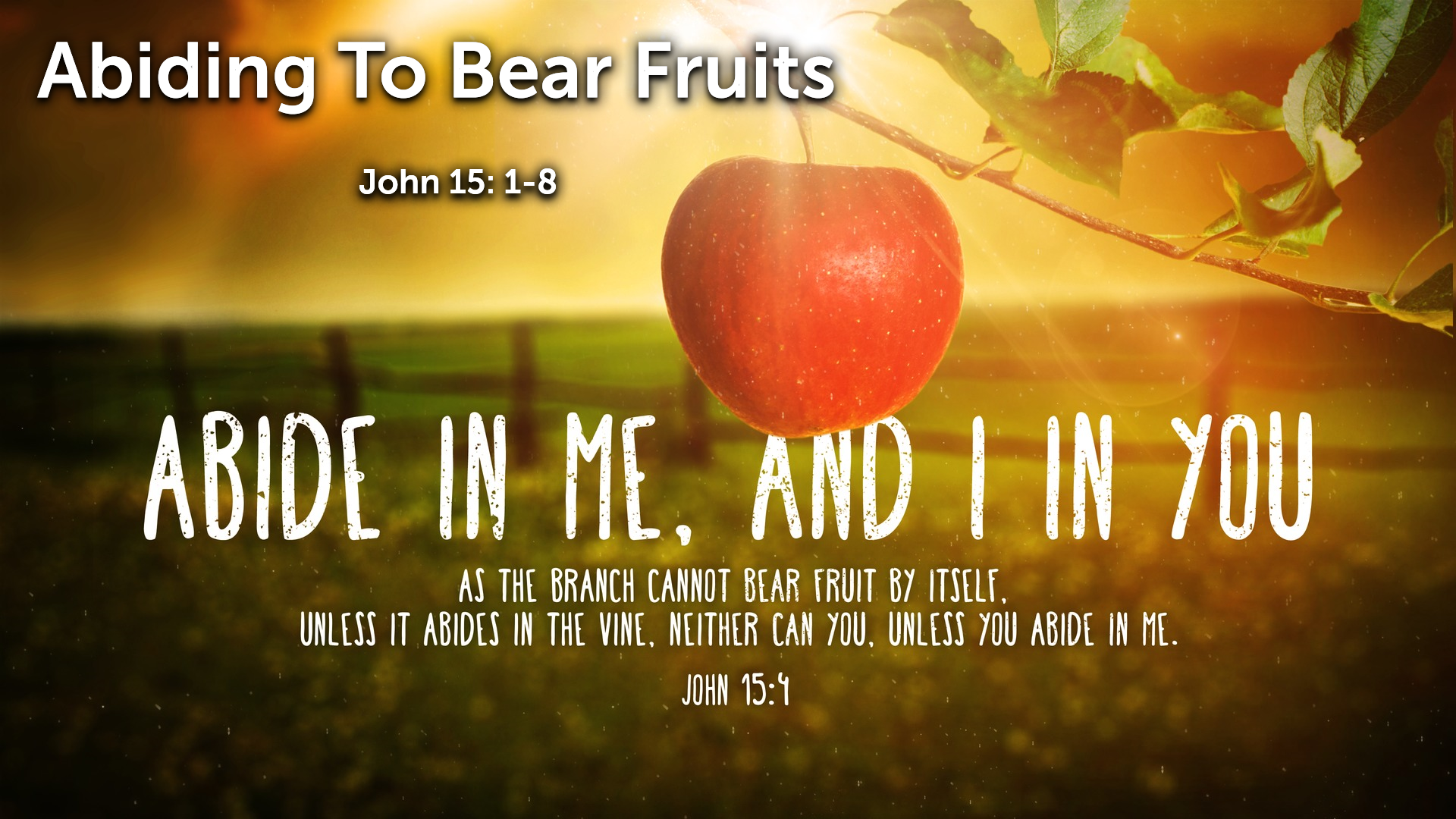 Sep 13, 2020 - Abiding To Bear Fruits  (Video) - John 15: 1-8
