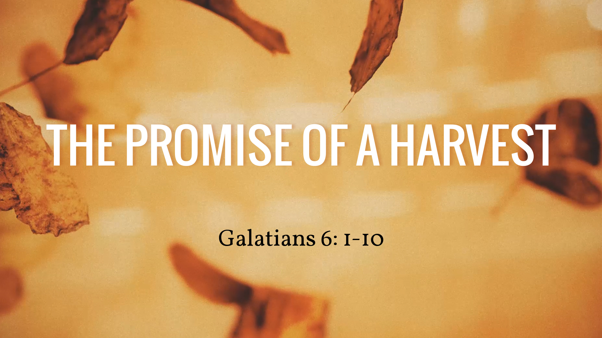Nov 14, 2021 - The Promise of A Harvest (Video) - Galatians 6: 1-10