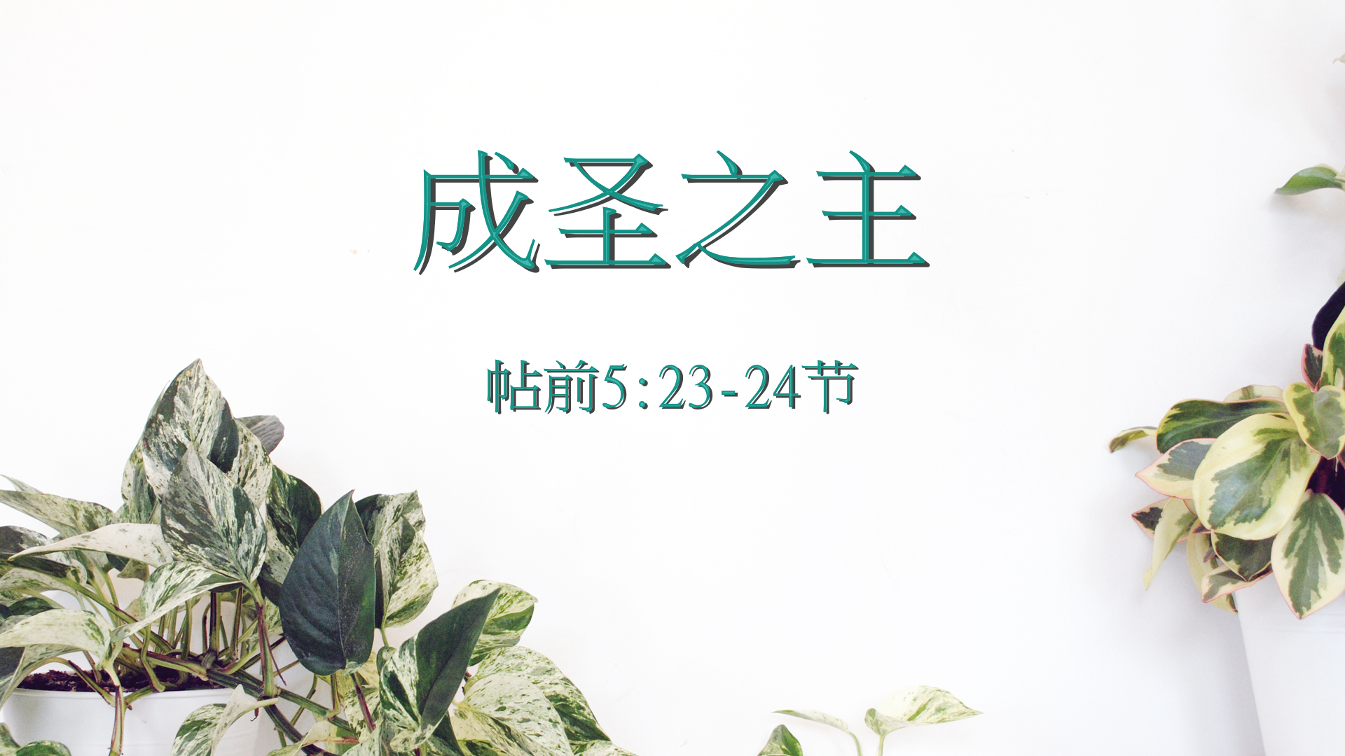 2020年11月8日 - 录像讲道 信息 : 成圣之主   帖前 5:23-24节  讲员 : 顾永杰传道