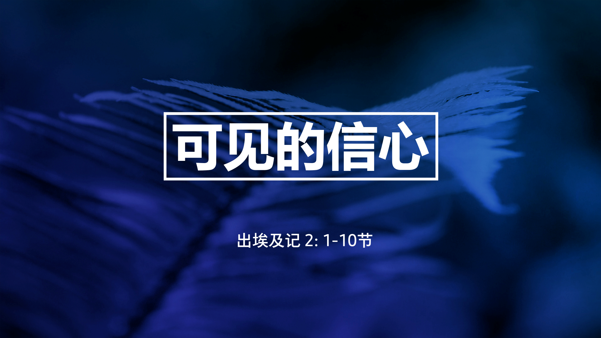 2021年5月9日 - 录像讲道:  可见的信心 出埃及記 2: 1-10节  讲员: 周莹莹姊妹