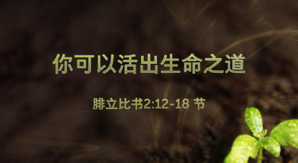 2022年2月27日 – 你可以活出生命之道  腓立比书2:12-18 节 讲员 : 周琦姐妹