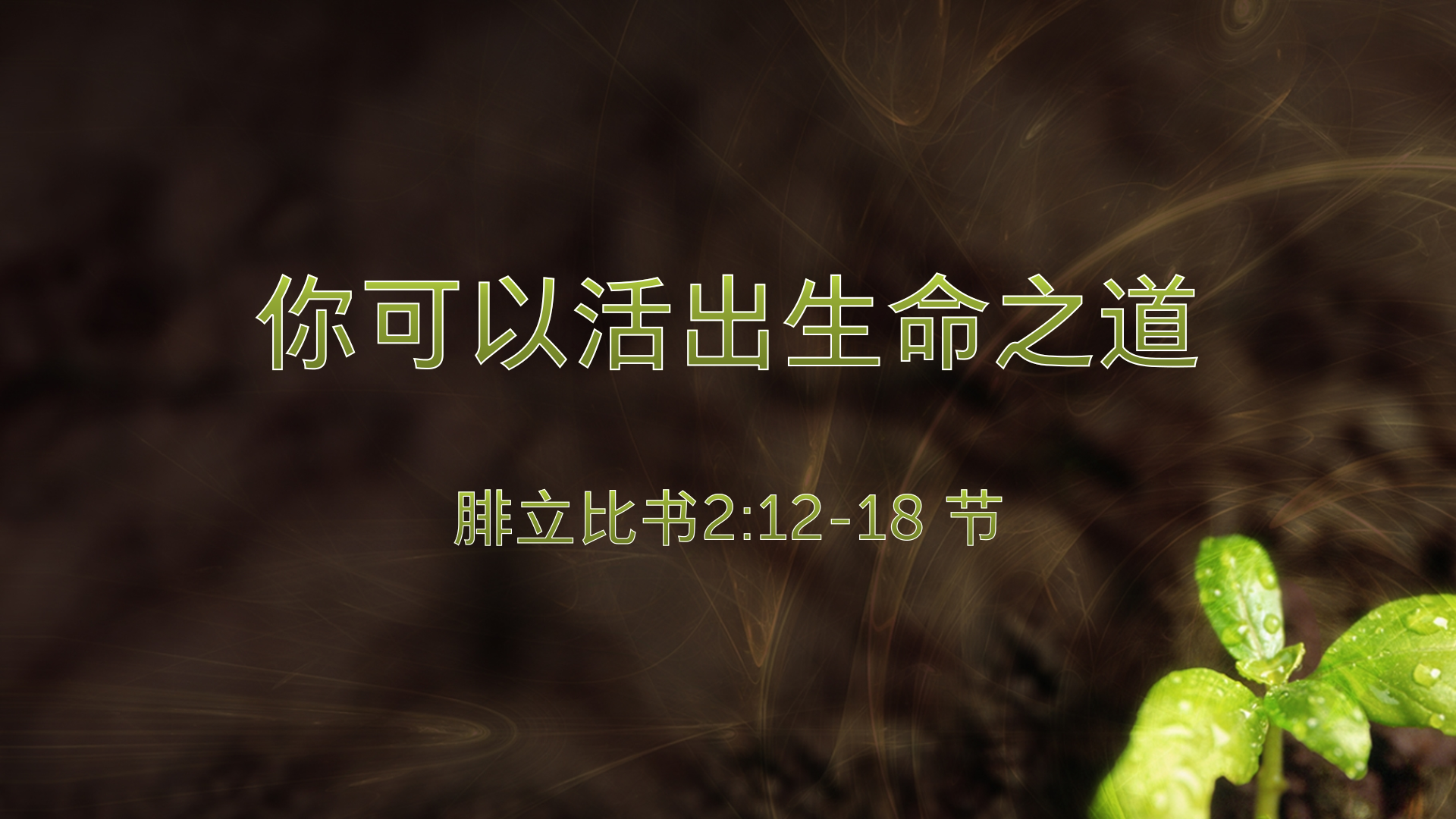 2022年2月27日 - 你可以活出生命之道  腓立比书2:12-18 节 讲员 : 周琦姐妹