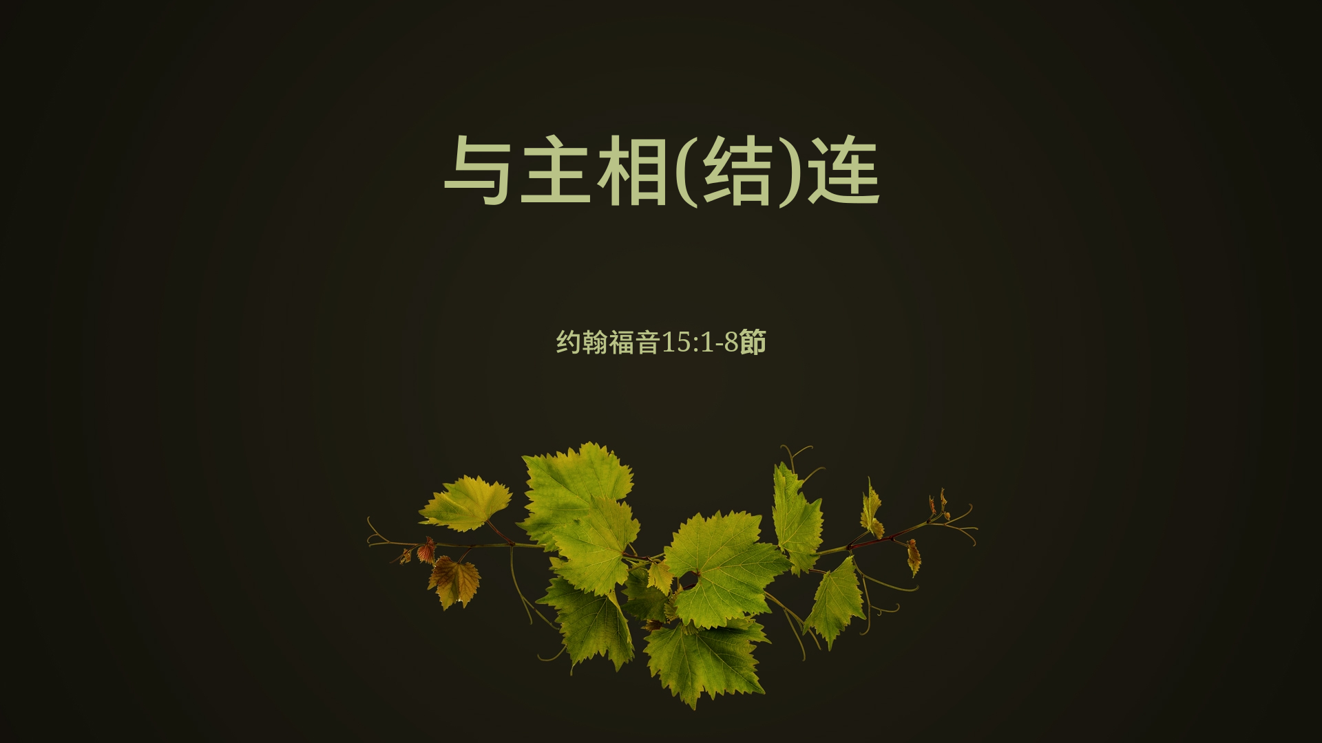2022年3月20日 - 与主相(结)连    约翰福音15:1-8节 讲员 : 李定宇牧师